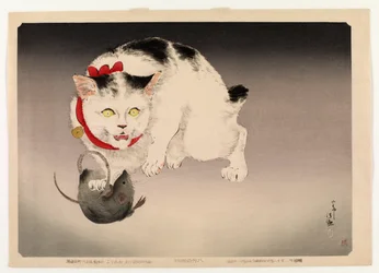Il gatto onniveggente, dopo gli anni 